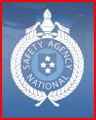 NSA Logo